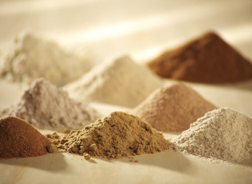 Levains et farines fermentees gluten free bocker starter ou deshydrates devitalises 3